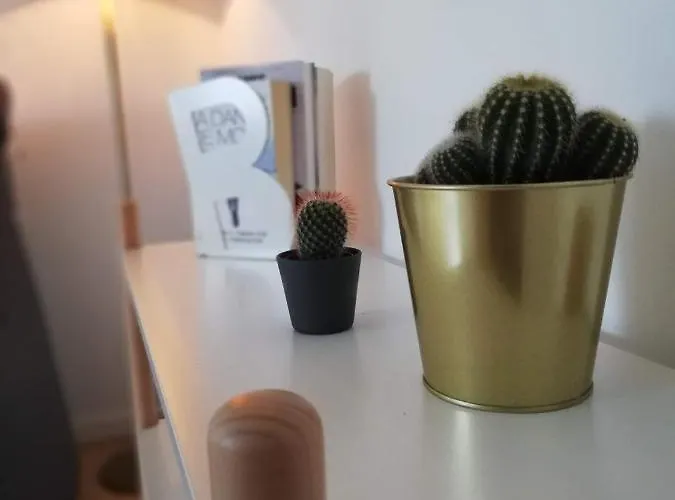 Cosy Apartamento *